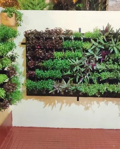Even tight corners can accommodate a green wall. This custom vertical garden fits perfectly into an outdoor nook, bringing a dense patch of nature to a previously overlooked space.