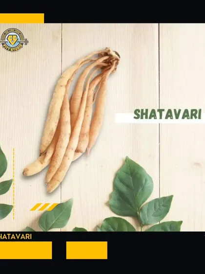 Shatavari, the "Queen of Herbs," is a powerful tool in Ayurvedic medicine. I guide my female clients on how to use it to support hormonal balance, improve energy, and aid in recovery during weight training.