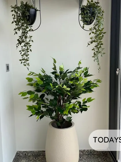 Today's balcony site featuring our artificial plants. A beautiful Ficus tree in a stone-finish planter paired with hanging creepers creates a lush and inviting space with no watering required.