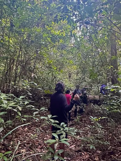 A team navigates through the dense, vibrant green jungle of Agumbe. This is what an immersive nature trek looks like, far from the distractions of the city.