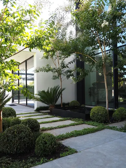 A full view of a modern entryway garden. The combination of white walls, dark window frames, and lush greenery creates a high-contrast, visually striking landscape.