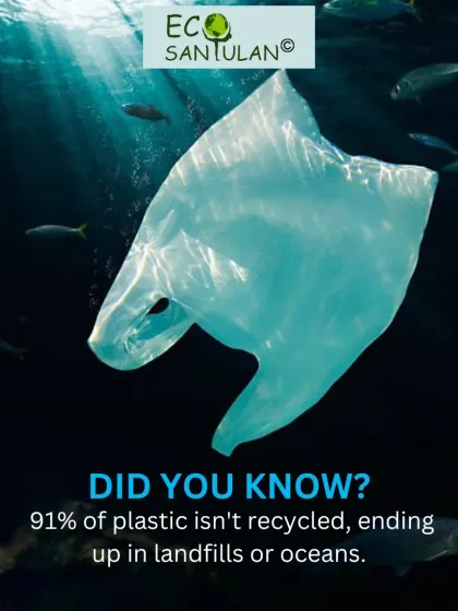 Did you know that 91% of plastic isn't recycled and ends up in landfills or oceans? This fact highlights the urgent need to reduce our plastic consumption.