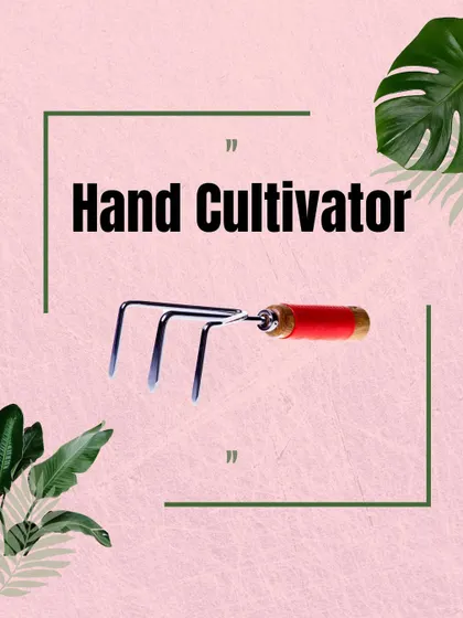A hand cultivator is a great tool for loosening soil and removing weeds in tight spaces. It helps aerate the soil around your plants, improving water and nutrient absorption.