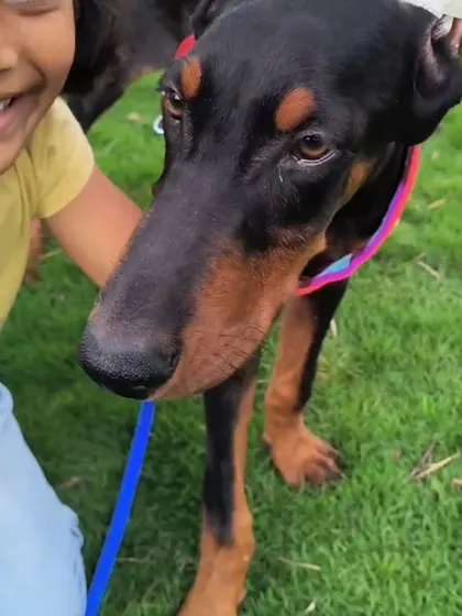 A sweet moment with Tsar and his human brother. My program emphasizes creating safe and positive interactions between dogs and children from day one.