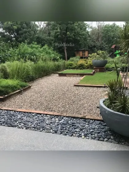 A large, bowl-shaped planter containing a Dracaena plant sits at the edge of the Zen court. The simple, bold form of the planter complements the minimalist aesthetic of the garden.