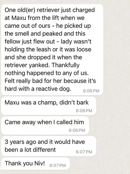 A message from Max's owner after he successfully disengaged from a charging off-leash dog. Three years ago, this situation would have ended very differently. This is the result of consistent, long-term training.