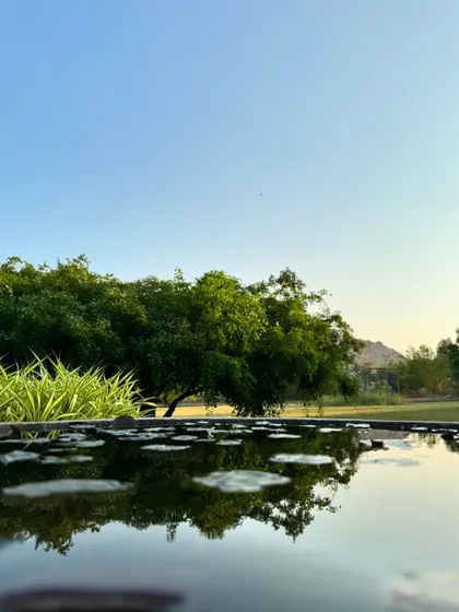 Another beautiful shot of the pond, capturing the stillness of the water and the lushness of the surrounding greenery.