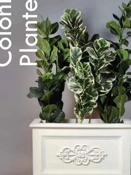 A classic white colonial-style rectangular planter. Its clean lines and simple decorative motif make it a versatile choice for both traditional and contemporary settings.