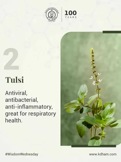 Tulsi, or Holy Basil, is a staple in our herbal recommendations for its antiviral, antibacterial, and anti-inflammatory properties. It is particularly beneficial for maintaining respiratory health.
