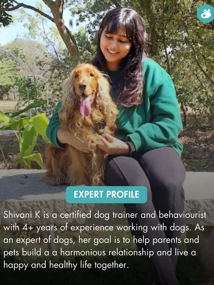 This is me with one of my furry clients. As a certified dog trainer and behaviourist with over four years of experience, my passion is helping you and your dog build a harmonious relationship. I believe in working with your dog's natural behaviors, not against them.