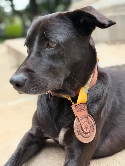 A beautiful portrait of Batman, the champion, with his finisher's medal.