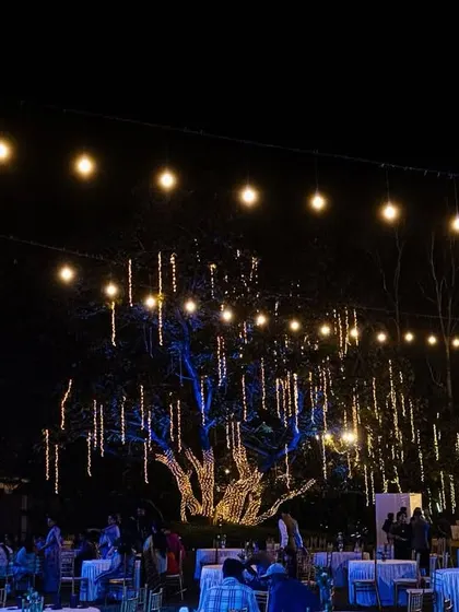 An outdoor reception setup illuminated by strings of fairy lights and dramatic lighting on the trees. We love using lighting to create a warm, magical ambiance for evening celebrations.