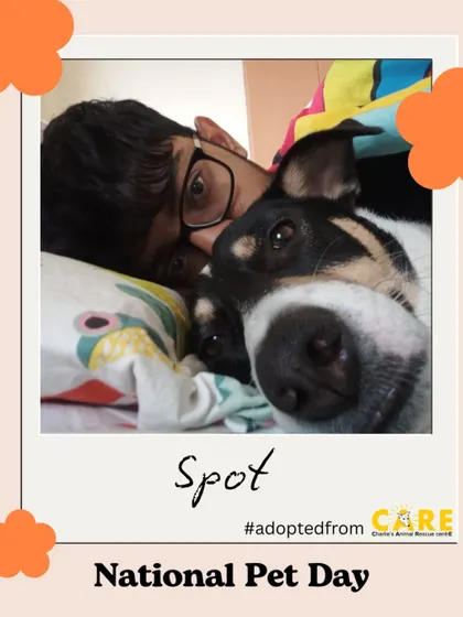 A perfect selfie with Spot, who found his forever human through our shelter. On National Pet Day and every day, we celebrate the incredible bond that adoption creates between people and pets.