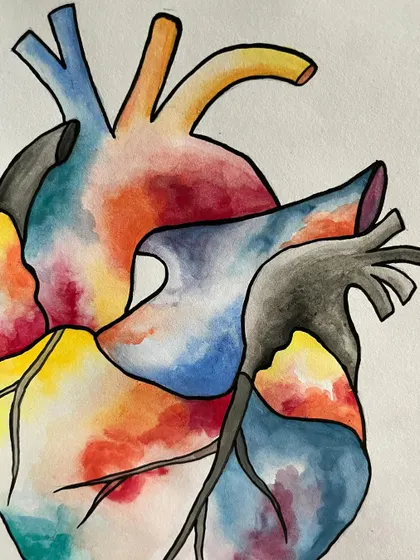 A stylized painting of an anatomical heart, combining bold outlines with a vibrant watercolor interior.