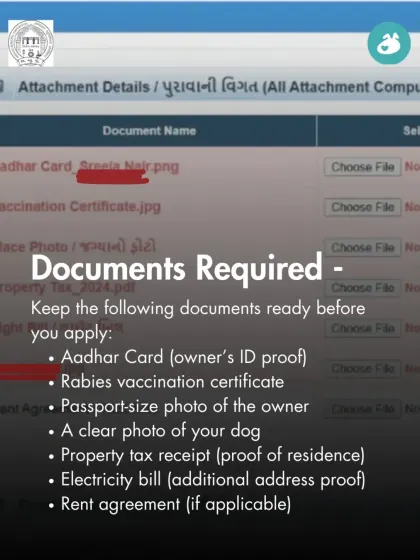 This slide lists all the documents required for pet registration in Ahmedabad, including Aadhar card, vaccination certificates, and proof of residence, to help you prepare.
