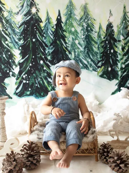 A winter wonderland theme for a baby boy's photoshoot, complete with a snowy forest backdrop and pinecones.