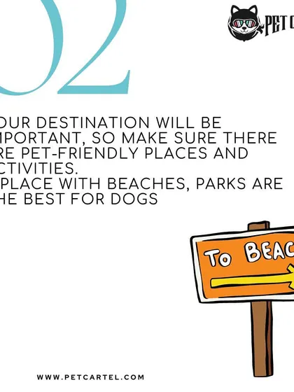 Your destination choice is important for a successful pet-friendly holiday. Look for places with accessible outdoor activities like beaches and parks where your dog can run and play freely.