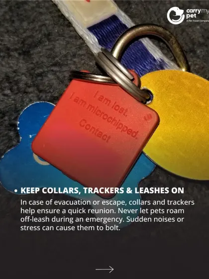 In case of an emergency like a power outage, always keep collars, trackers, and leashes on your pet. Stress can cause them to bolt, so never let them roam off-leash.