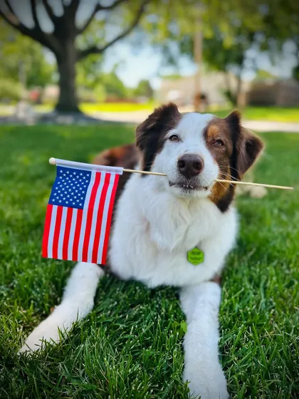 Happy Memorial Day. Today, we honor the brave souls who gave everything for our freedom.