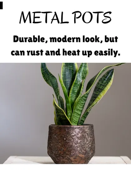 Metal pots provide a modern, durable option for your plants. They can add a sleek, industrial touch to your indoor or outdoor garden setup.