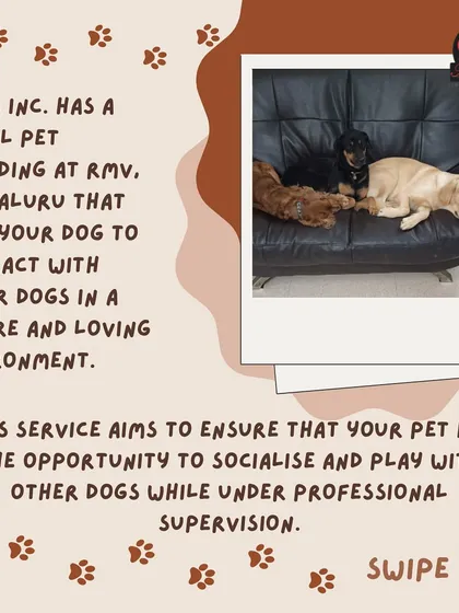 Our social pet boarding at RMV, Bengaluru, is designed to let your dog interact and play with other friendly dogs in a secure and professionally supervised environment.