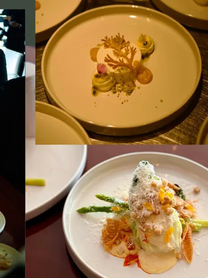 A collage showcasing the beautiful plating from the 'Modern Luxury' dinner, with dishes featuring asparagus, intricate sauces, and delicate garnishes.