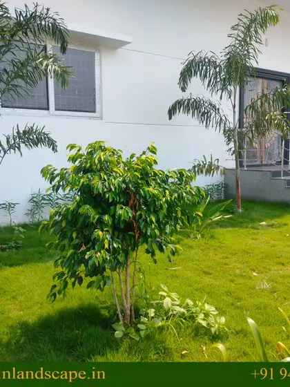A well-maintained lawn outside a commercial building. A clean, green lawn space provides a visual break and improves the overall aesthetic of an industrial or corporate facility.