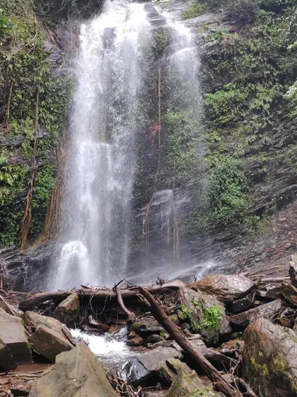 The refreshing Hidlumane Falls, a welcome sight after a rewarding trek on our Kodachadri adventure.