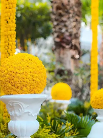 A close-up of marigold floral arrangements on white pedestals, a simple yet elegant decor detail for a Haldi ceremony.