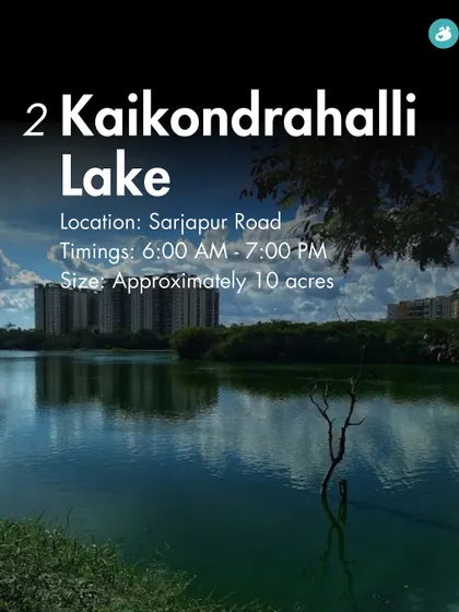 Kaikondrahalli Lake on Sarjapur Road is another fantastic 10-acre spot, perfect for a scenic and refreshing walk with your dog.