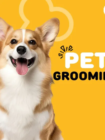 A happy Corgi showing off that fresh-from-the-groomer look. We provide everything you need to achieve this level of clean and happy right at home.
