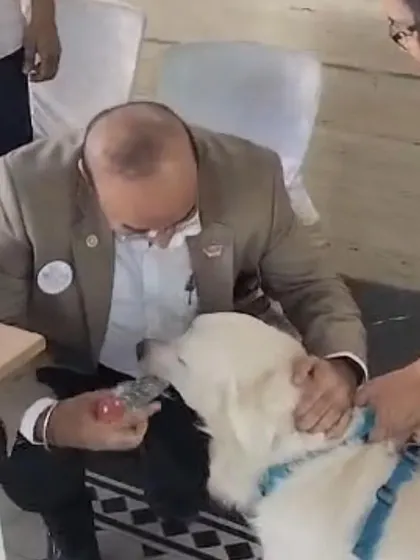 I was honored to speak at a Rotary Bangalore event about how dogs can be a part of therapy and mental health initiatives. My dog Coco was a perfect gentleman, charming the crowd and demonstrating the calm temperament of a great therapy dog.