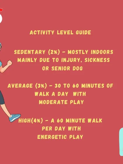 Our activity level guide helps you determine the right percentage to feed, from 2% for sedentary senior dogs to 4% for highly active pups.