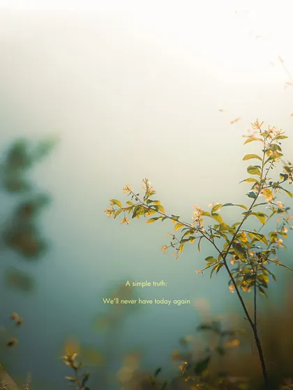 A branch of flowers against a misty background. The edit is soft, cool, and ethereal, with a painterly quality.