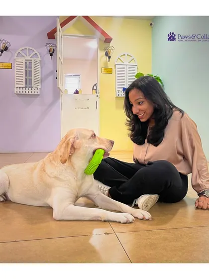 One-on-one playtime is a key part of our enrichment program. A staff member engages with a happy Labrador in our spacious play area.