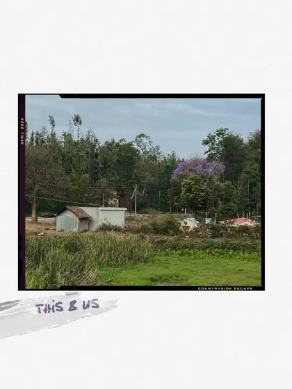 A tranquil countryside escape, a scene that feels miles away from the city's hustle.