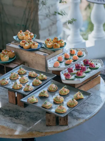 A beautiful spread of assorted canapés and appetizers. We can create a diverse and visually stunning menu of small bites to suit any occasion.