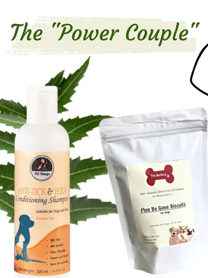 I call this the "Power Couple" for pest defense. Combining my Anti-Tick & Flea Conditioning Shampoo with the Flea Be Gone Biscuits provides inside-and-out protection for your dog's health.