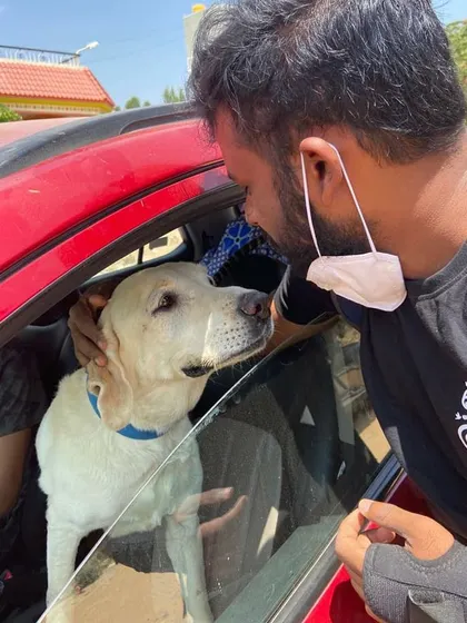 The final farewell. We get just as attached as the owners do.