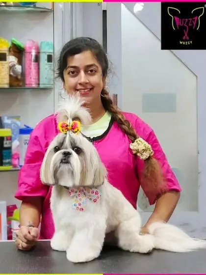 Romeo is ready for the party with his perfectly groomed coat and top knot. This Shih Tzu's long hair is kept healthy and manageable with regular professional grooming.