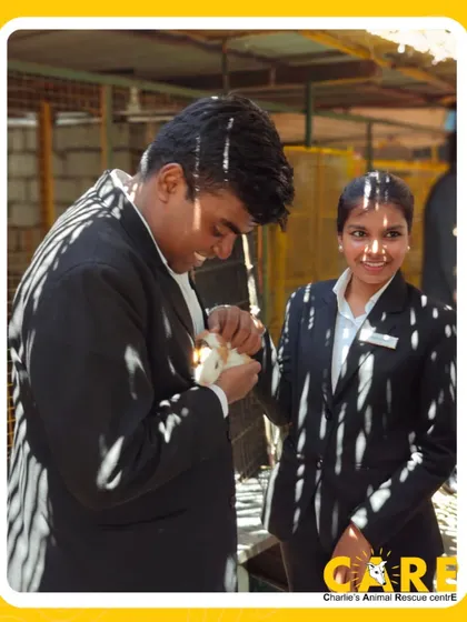 Two team members from Taj Westend get acquainted with a small, furry resident. These corporate volunteering visits bring so much joy to both our animals and the visitors.
