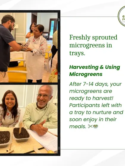 Happy participants at our workshop, ready to take home their freshly planted microgreen trays. In just a week, they'll be able to harvest and enjoy their own homegrown greens.