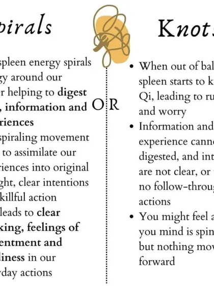 The spleen's energy helps us digest food, information, and experiences. When it's out of balance, it can lead to worry and rumination, making it difficult to move forward with clear intentions.