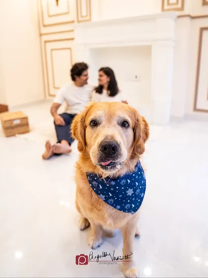 A slightly more serious, soulful look from Happy. Even in a family session, I make sure to capture individual portraits that show your pet's unique expressions.
