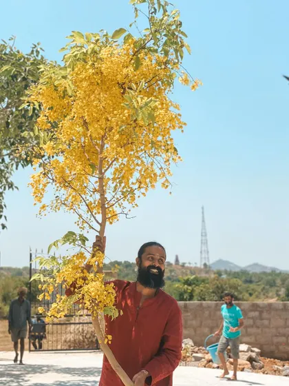 I hold a branch from a blooming Cassia fistula tree, known as the golden shower tree. Its vibrant color is a beautiful reminder of the life and beauty that surrounds us at the ashram.