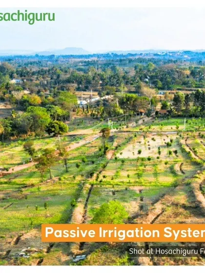 Our passive irrigation systems are designed to optimize water usage, meeting each plant's precise needs without waste.