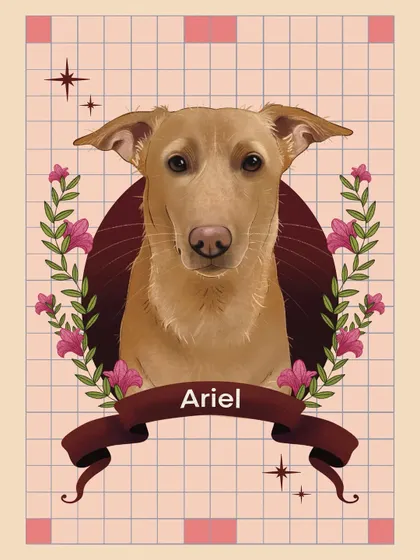 Another version of Ariel's portrait, this time with a pink checkered background. This shows how I can adjust the background elements to match a client's preferred color scheme or home decor.