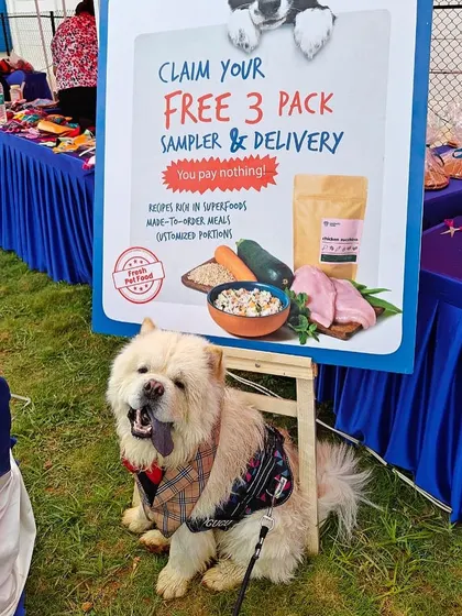 This fluffy friend knows where the good stuff is.