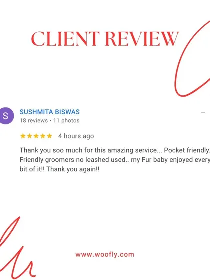 A leash-free and enjoyable experience is what I want for every fur baby. This review confirms that my friendly, gentle approach works.