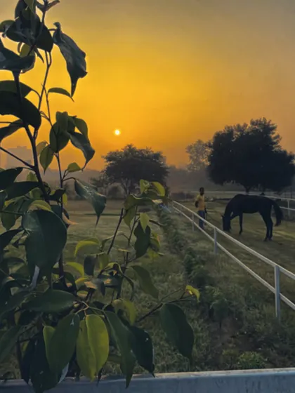 This is the view that greets us and our animal guests each morning. Our 4.5-acre farm provides a serene, natural setting that serves as a true escape from the noise and confinement of city life.